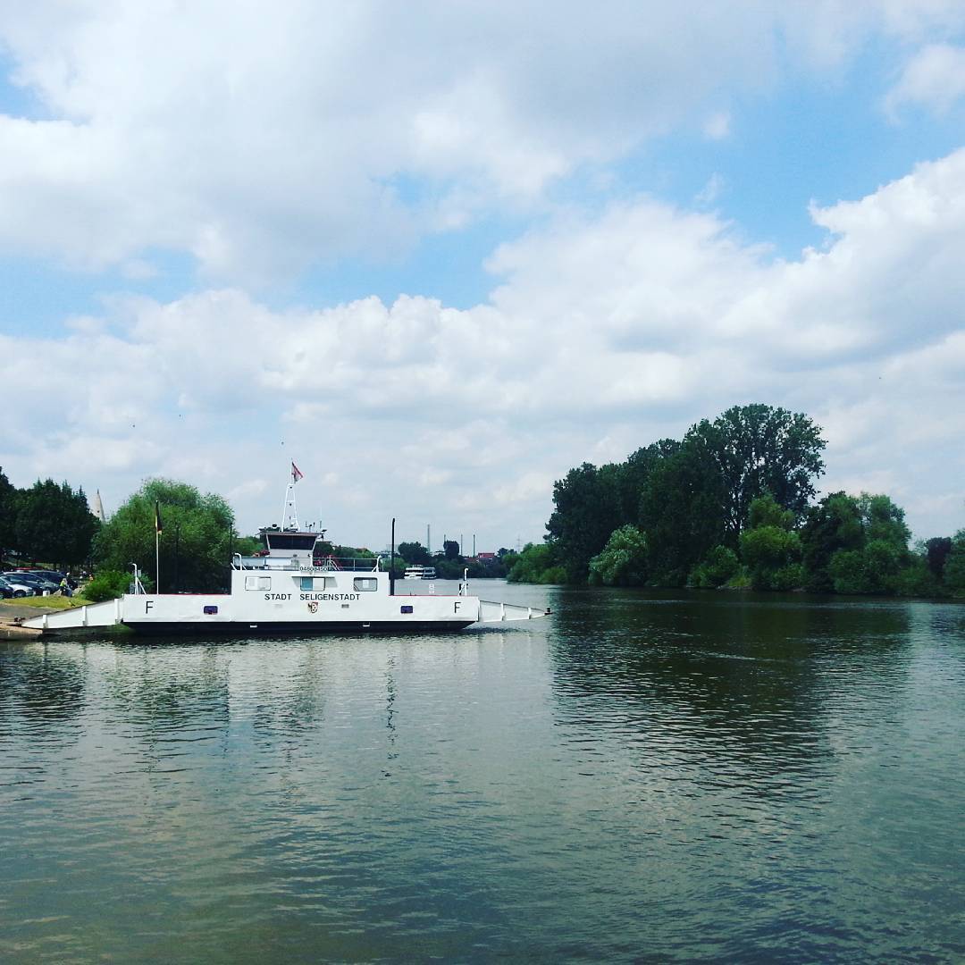 Die Mainfähre überquert die fließende Grenze zwischen Hessen und Bayern.
Im Hintergrund sieht man übrigens auch ein Schiff der @primuslinie wegfahren, die auch in Seligenstadt Halt macht. Mit ihr kann man Schifffahrten auf dem Main unternehmen